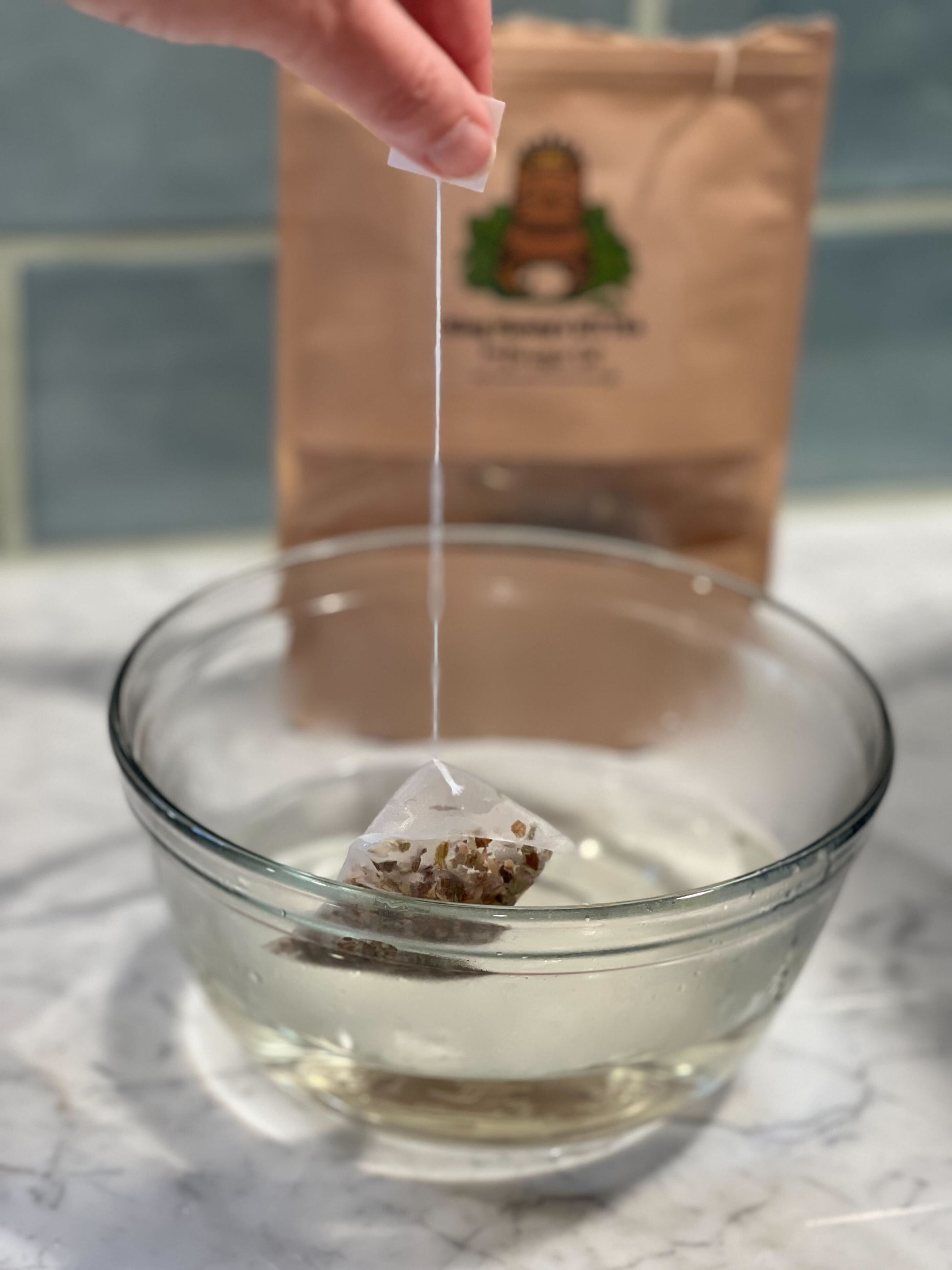 King Monty’s Kittea The Charleston Cat Groomer