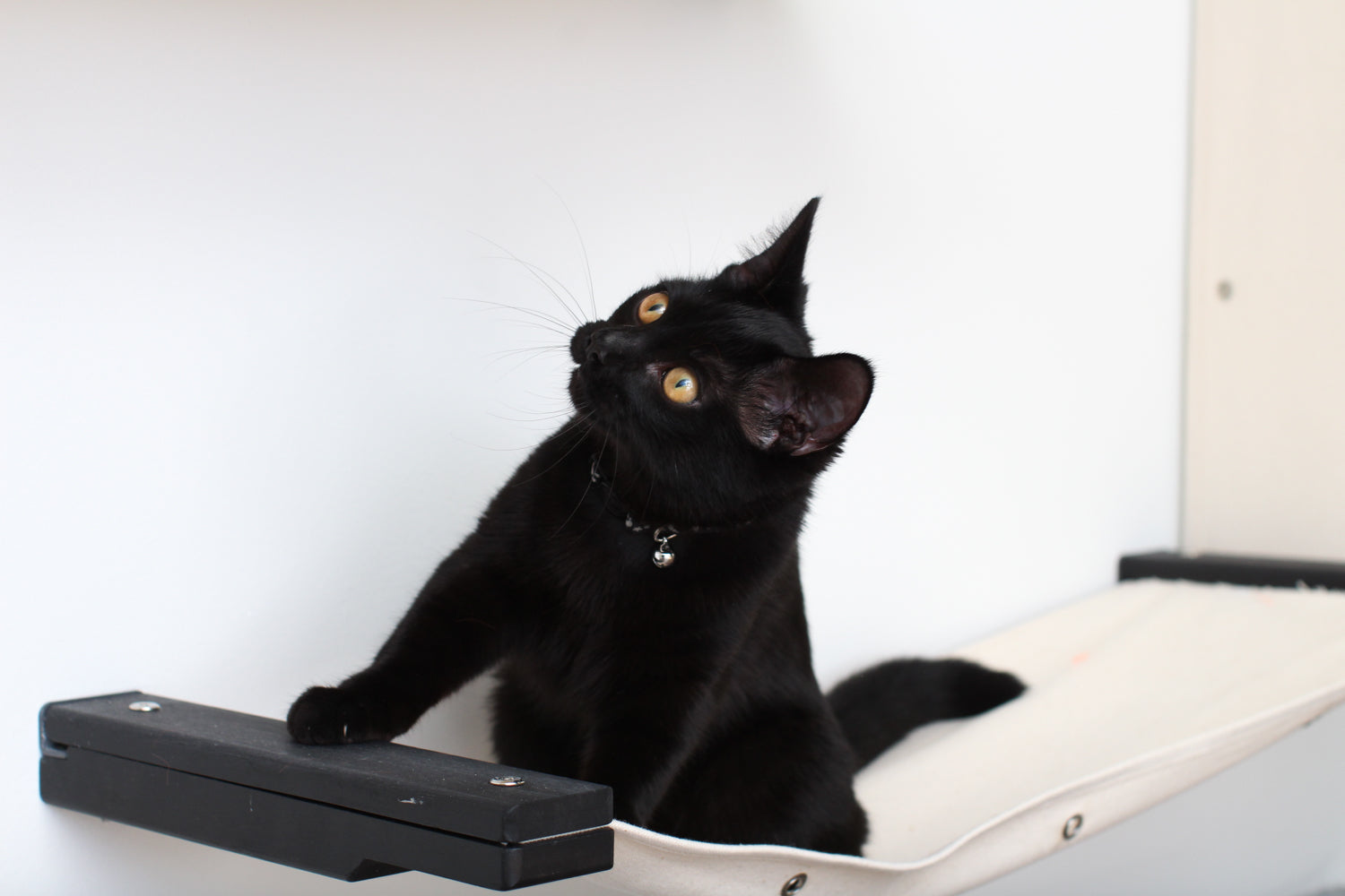 Cat Maze Wall - 3 Tier Cat Tree Cat Condo Catastrophic Creations