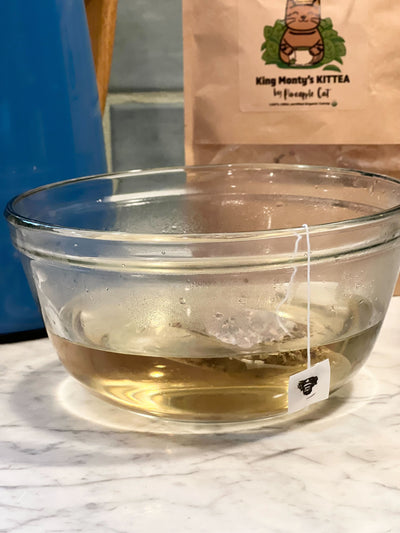 King Monty’s Kittea The Charleston Cat Groomer