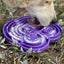 Water Frog eTray Slow Feeder Dog Bowl | eTray Enrichment Tray | USA Made ETRAY SodaPup/True Dogs, LLC