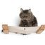 The Roman - A Wall Mounted Cat Scratcher Tree Cat Condo Catastrophic Creations