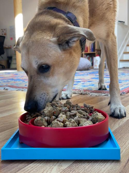 Hold 'em Suction Cup Holder for Dog Bowls & Lick Mats | USA Made EMAT SodaPup/True Dogs, LLC