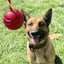 USA-K9 Stars and Stripes Ultra-Durable Rubber Chew Ball Rubber Dog Toys SodaPup/True Dogs, LLC