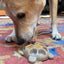 Turtle Nylon Chew Toy - Ultra-Durable Enrichment Toy for Power Chewers USA Nylon Dog Toys SodaPup/True Dogs, LLC