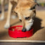 Santa Christmas eBowl Deep Slow Feeder Dog Bowl for Enrichment | USA Made EBOWL SodaPup/True Dogs, LLC