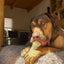 PUP-X Rubber Bone Dog Toy - Durable, Floats, Chew Toy for Large Dogs | USA Rubber Dog Toys SodaPup/True Dogs, LLC