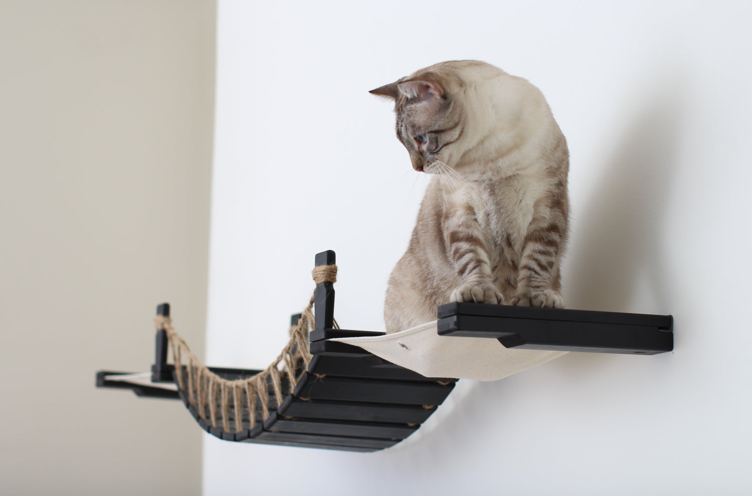 Double Cat Hammock and Climbing Bridge Combo Cat Bridge Catastrophic Creations