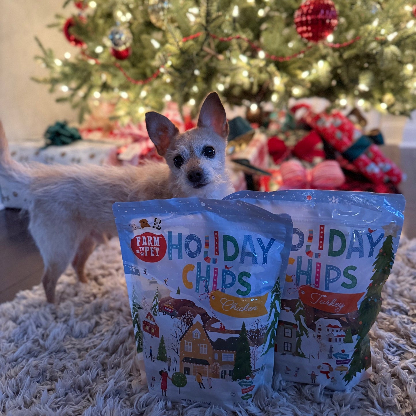 Holiday Chips Dog Treats - Chicken & Turkey 12oz Chip Farm To Pet