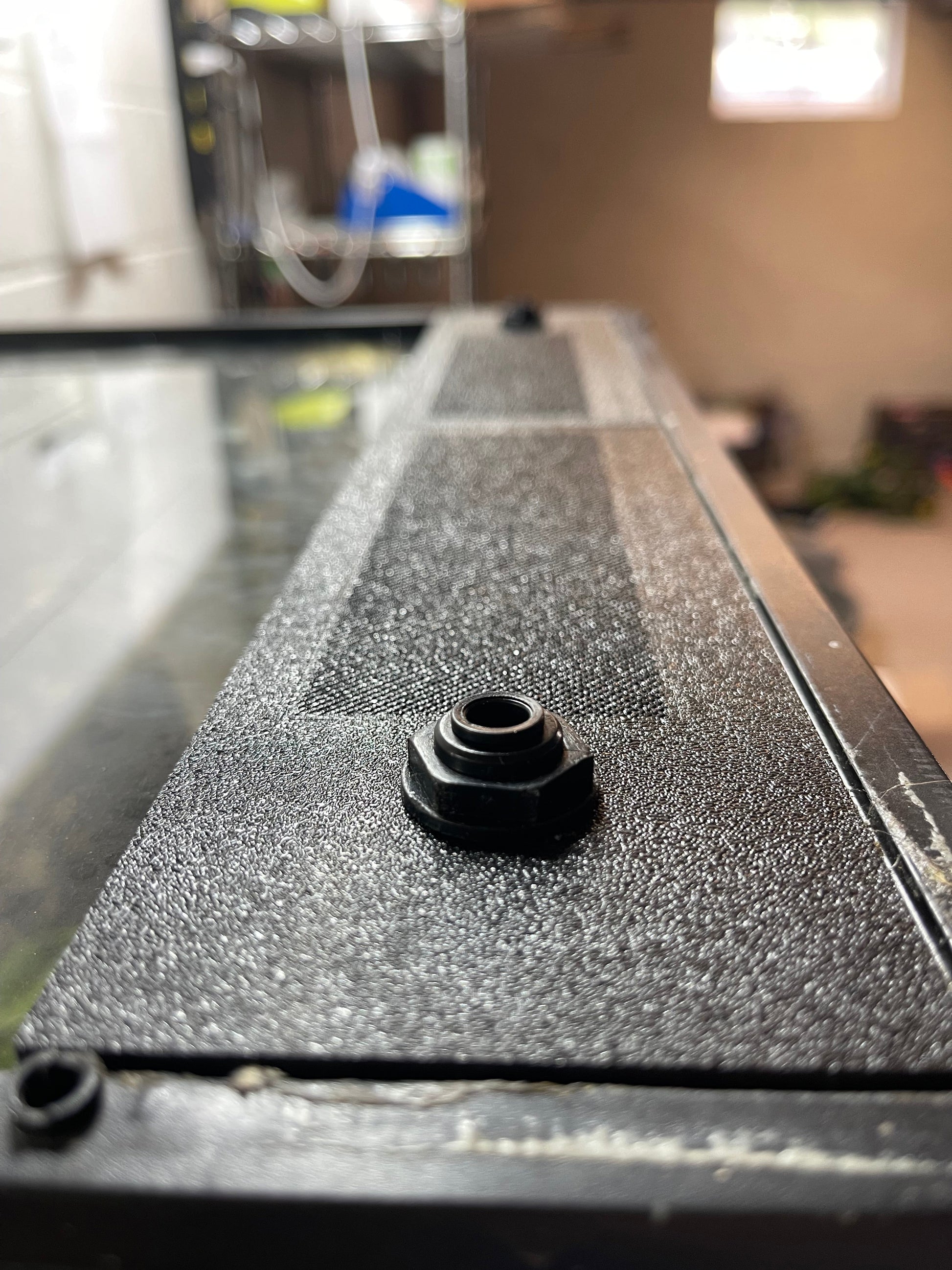 Custom Replacement Top for Zoomed Terrariums – Humidity Retaining with Fly-Proof Ventilation Thrive Ecosystems