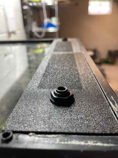 Custom Replacement Top for 36"Zoomed Terrariums – Humidity Retaining with Fly-Proof Ventilation Thrive Ecosystems