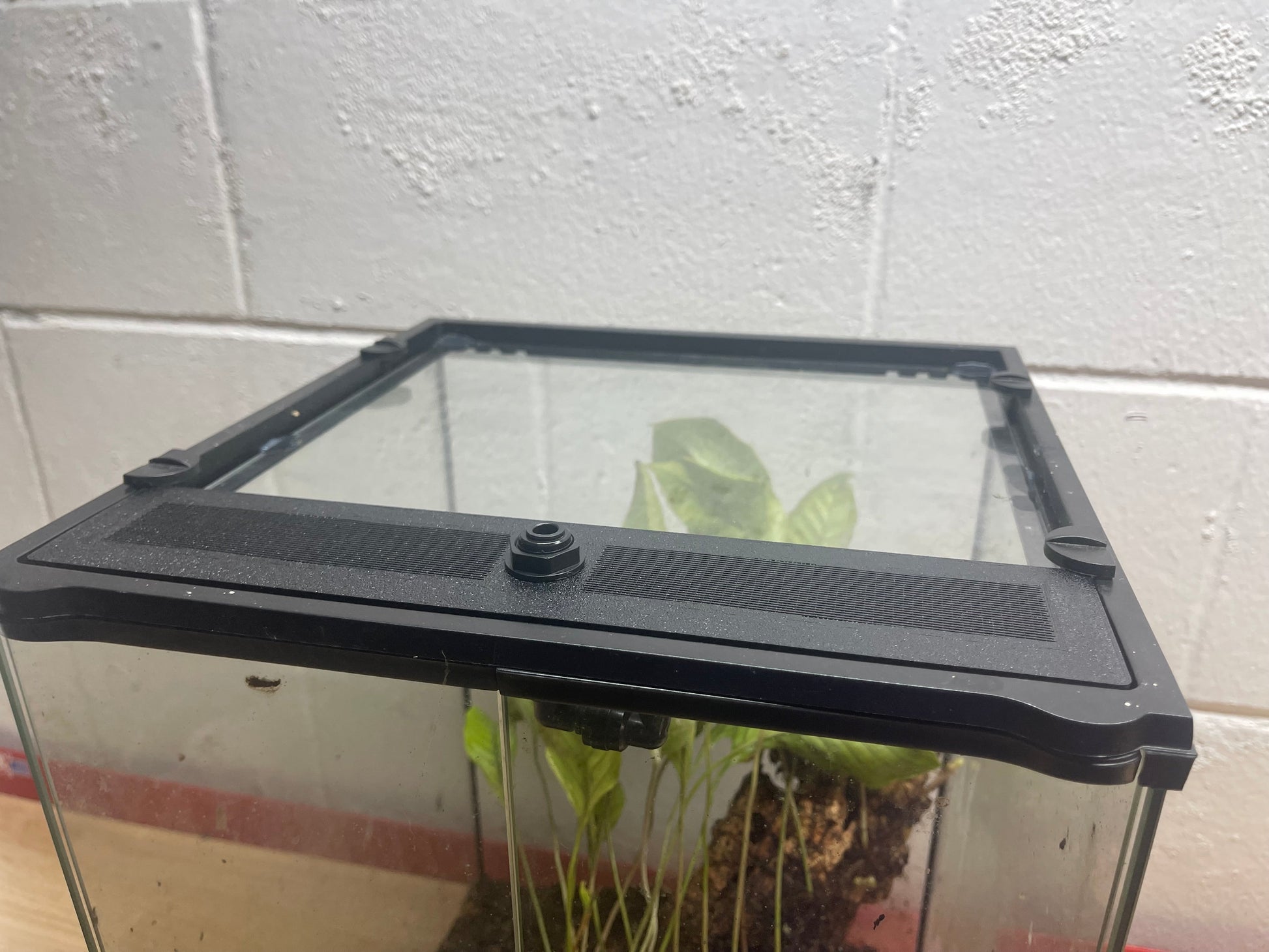 Custom Replacement Top for 18" Exo Terra Terrariums – Humidity Retaining with Fly-Proof Ventilation Thrive Ecosystems