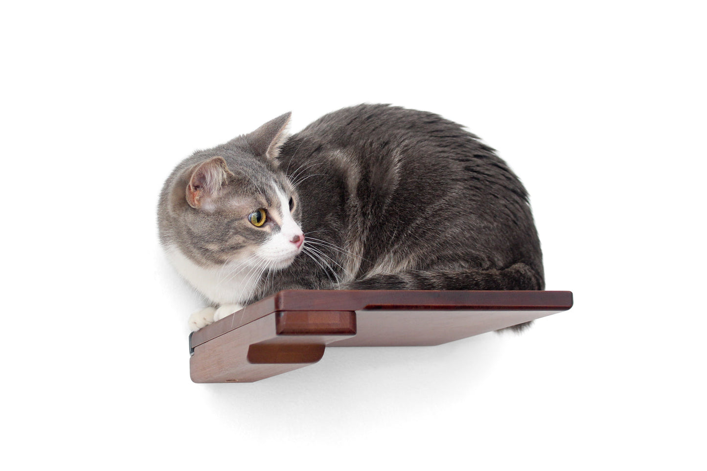 Cat Climbing Shelf Cat shelves/bed Catastrophic Creations