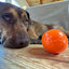 Squeak Ball - Durable Squeaky Dog Toy, Floats, Chew Toy | USA Made Rubber Dog Toys SodaPup/True Dogs, LLC