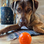 Squeak Ball - Durable Squeaky Dog Toy, Floats, Chew Toy | USA Made Rubber Dog Toys SodaPup/True Dogs, LLC