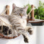 The Juggernaut - Indoor Cat Playground for Wall Cat Condo Catastrophic Creations
