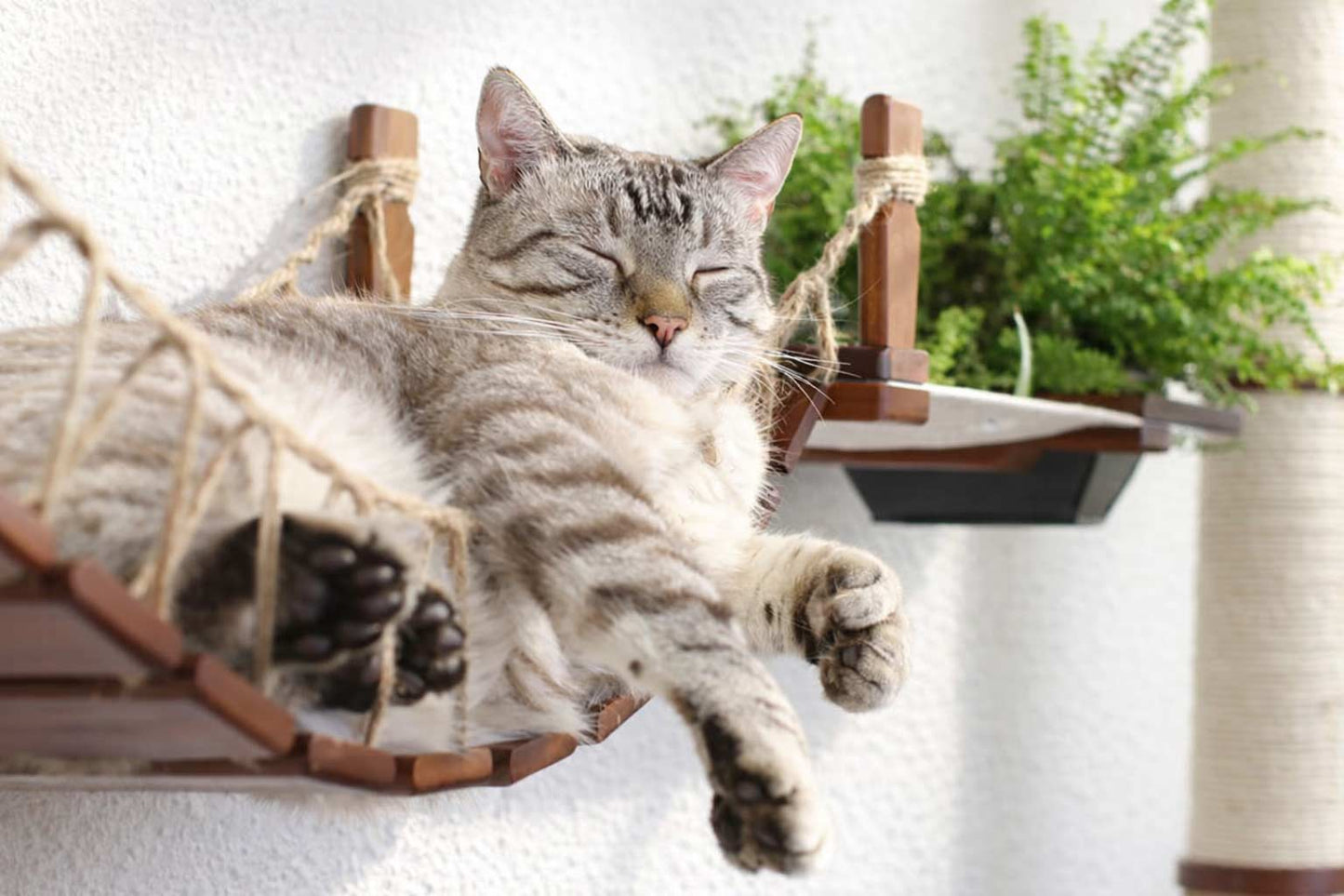 The Juggernaut - Indoor Cat Playground for Wall Cat Condo Catastrophic Creations