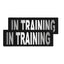 Removable Reflective Patches (Set of 2) "IN TRAINING" Dog Patches Dogline