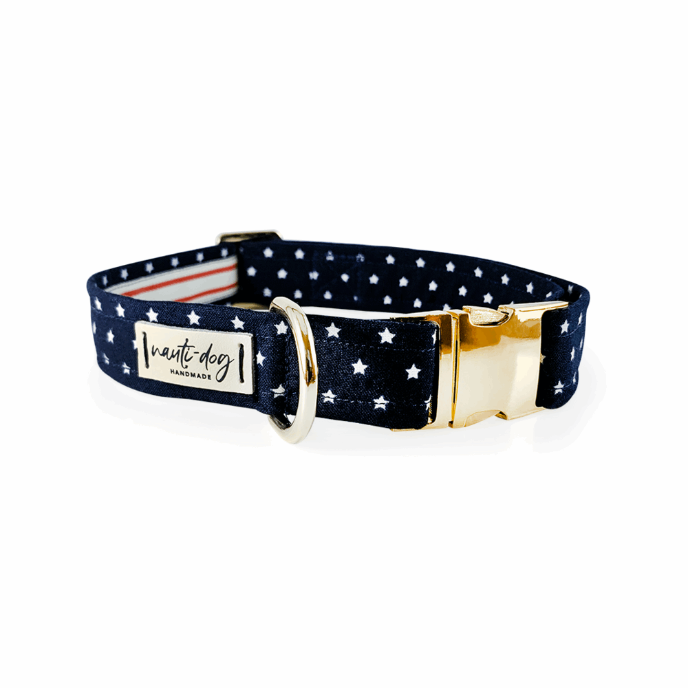 Independence Patriotic American Star Navy Buckle & Martingale Dog Collar Dog Collars Nauti-dog Handmade