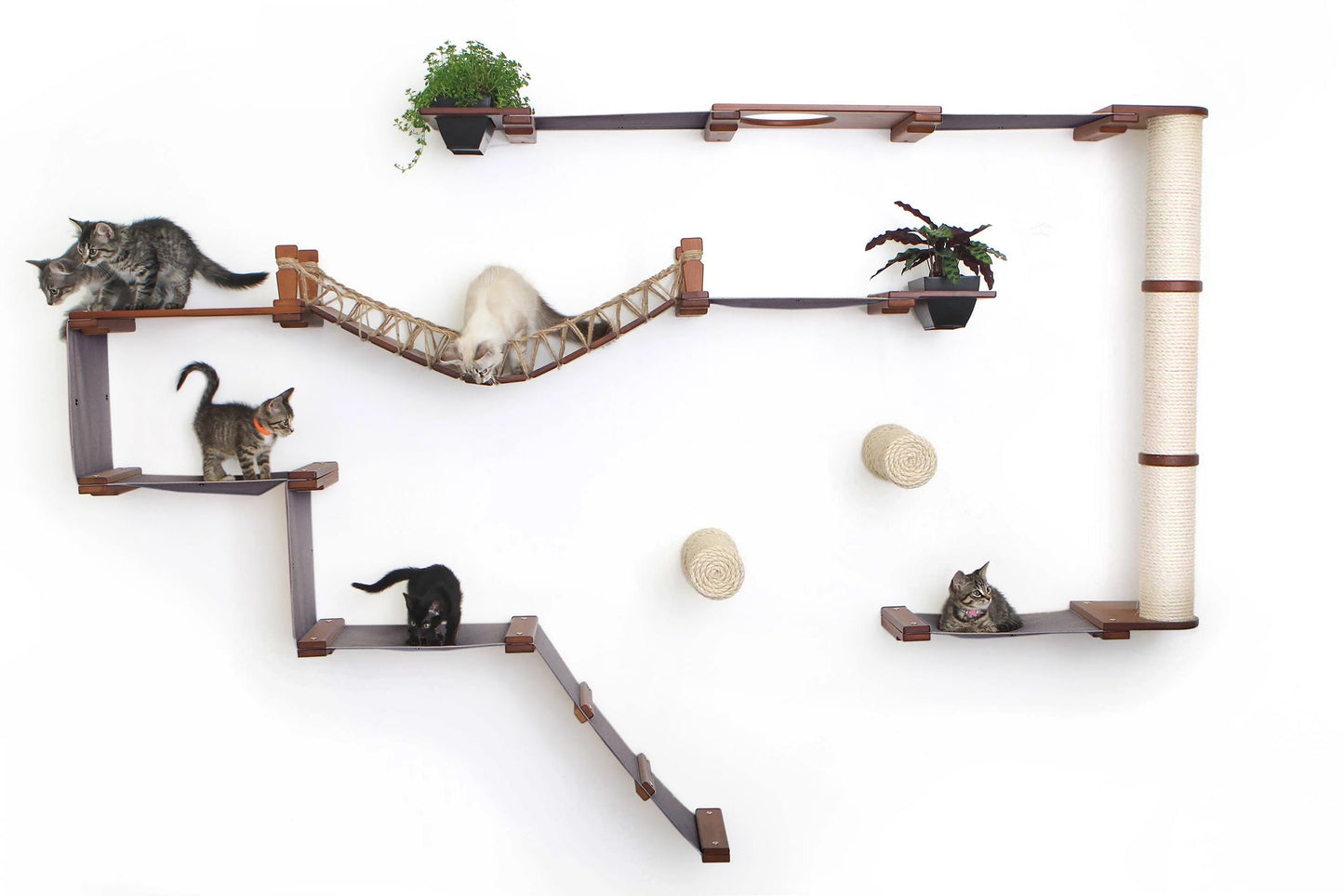 The Juggernaut - Indoor Cat Playground for Wall English Chestnut Bamboo Charcoal Gray Canvas Planter Shelves Coupling Cat Condo Catastrophic Creations