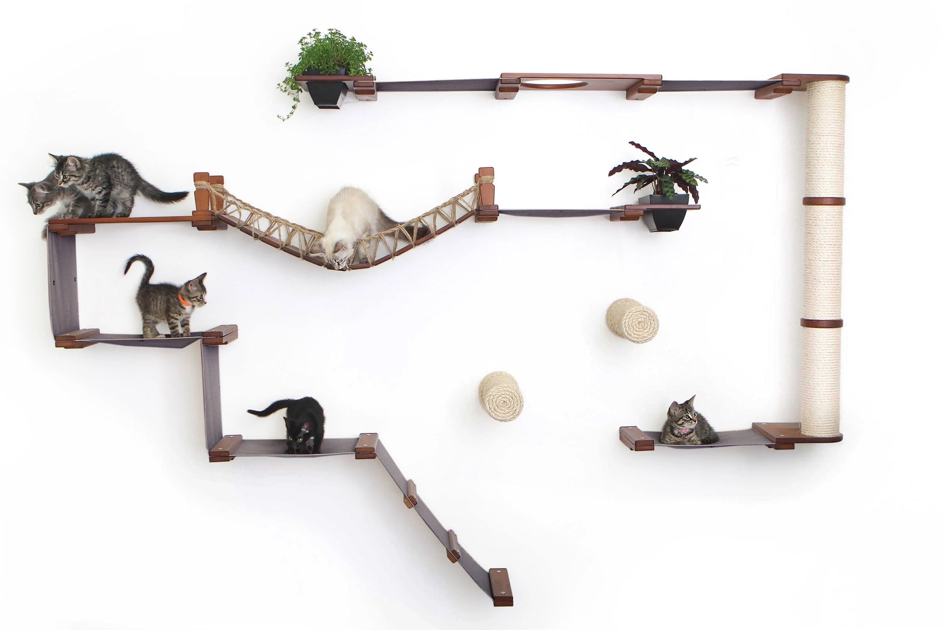 The Juggernaut - Indoor Cat Playground for Wall English Chestnut Bamboo Charcoal Gray Canvas Planter Shelves Coupling Cat Condo Catastrophic Creations