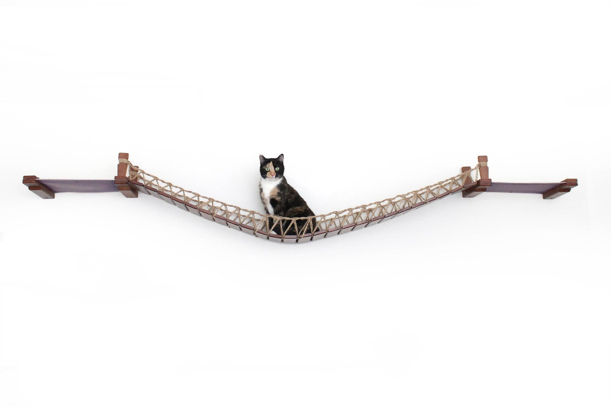 Double Cat Hammock and Climbing Bridge Combo Cat Bridge Catastrophic Creations