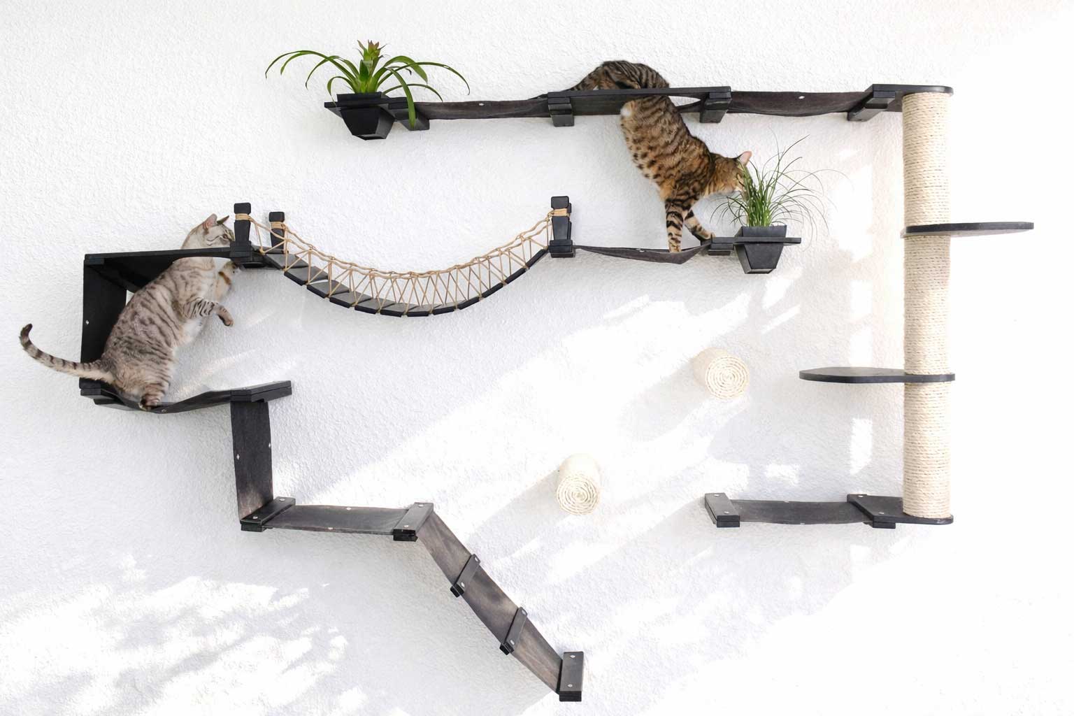 The Juggernaut - Indoor Cat Playground for Wall Onyx Bamboo Charcoal Gray Canvas Planter Shelves Leaf Shelf Cat Condo Catastrophic Creations