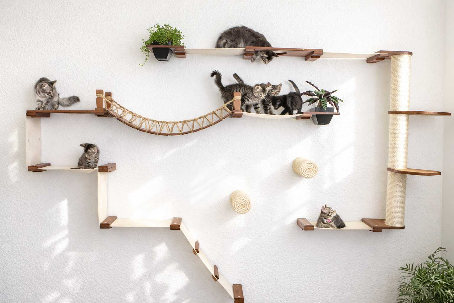 The Juggernaut - Indoor Cat Playground for Wall Cat Condo Catastrophic Creations