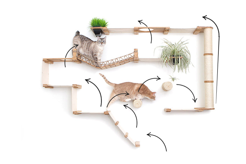 The Juggernaut - Indoor Cat Playground for Wall Cat Condo Catastrophic Creations