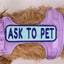 Ask to Pet 2x6 Patch Mint & Purple Patch K9 Sport Sack