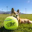 Too Big to Chew Tennis Ball Accessories K9 Sport Sack