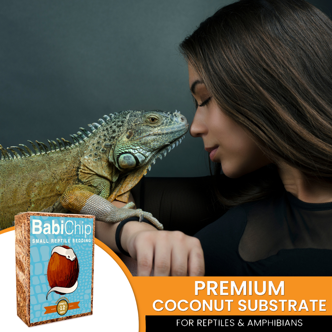 BabiChip Premium Small Sized Coconut Chips; Ready to Use Substrate ReptiChip LLC