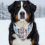 Skiing Dog Bandana Dog Bandana Happy Tails Outfitters