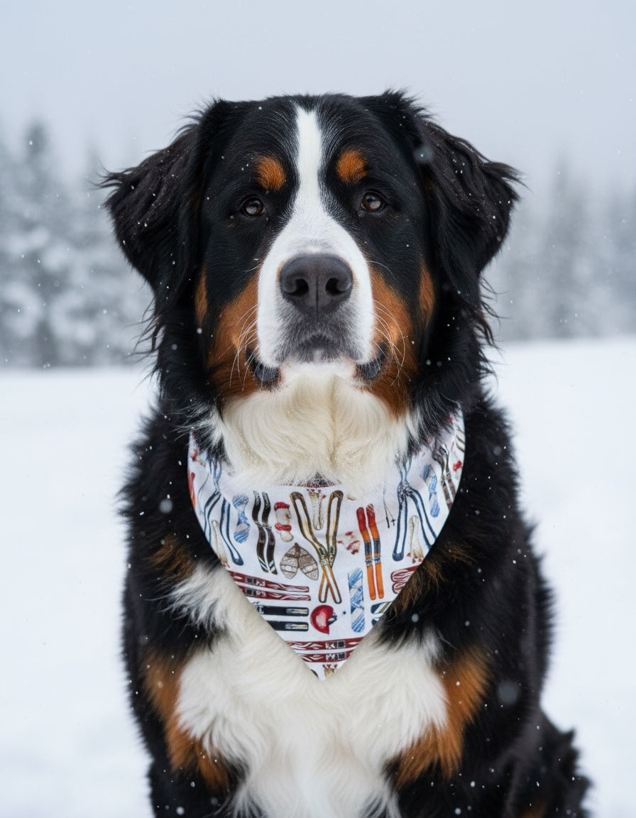 Skiing Dog Bandana Dog Bandana Happy Tails Outfitters