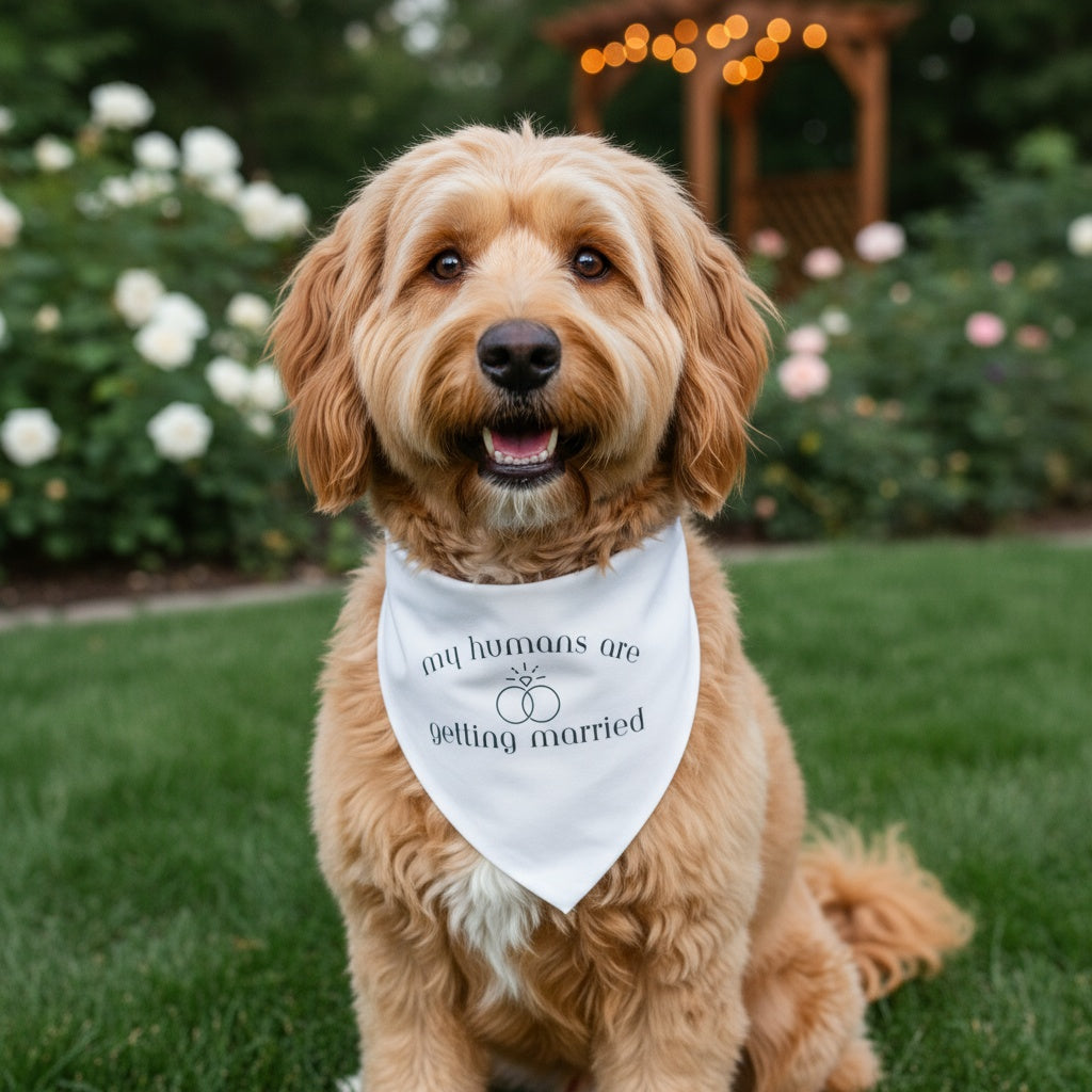 My Humans Are Getting Married Dog Bandana New Arrival Dog Bandana Happy Tails Outfitters
