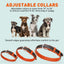 Soft Leather Dual-Color Flat Dog Collar Dog Collar Dogline