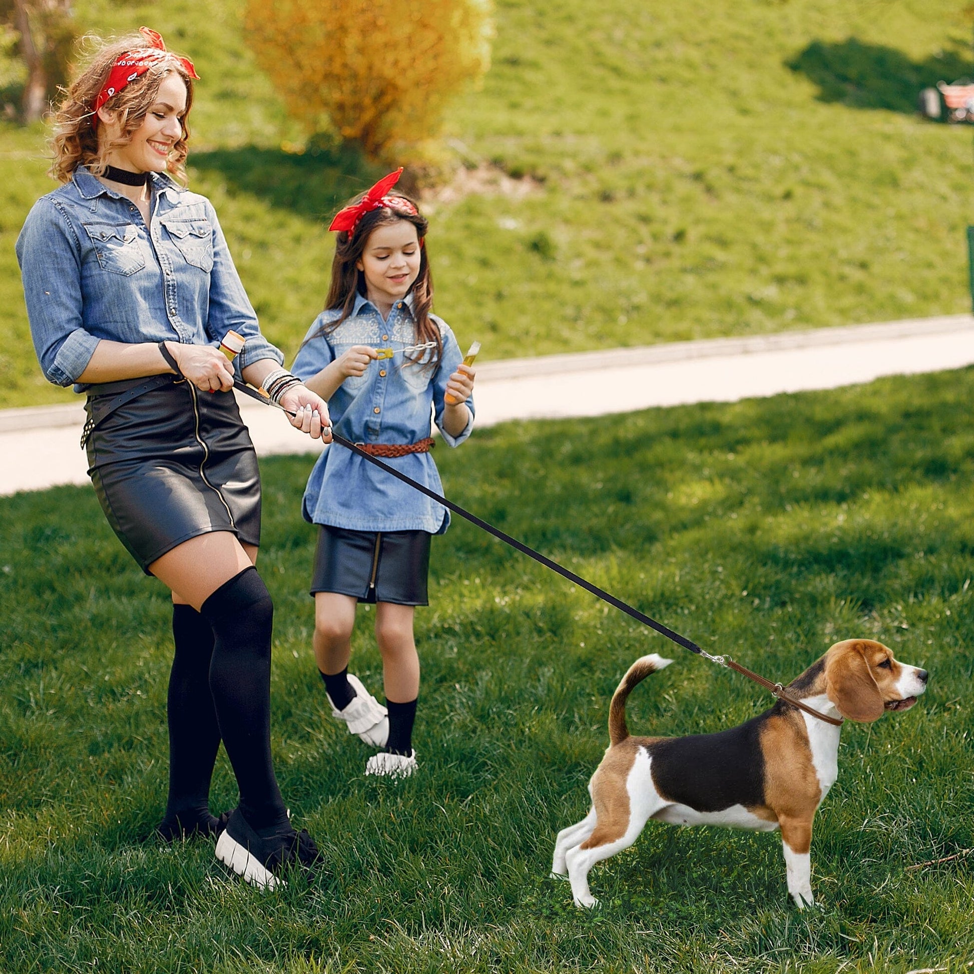 Soft Leather Round Martingale Collar Dog Collars Dogline