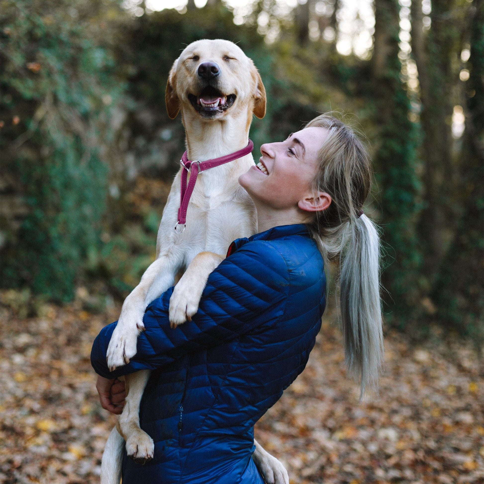 Soft Leather Round Martingale Collar Dog Collars Dogline