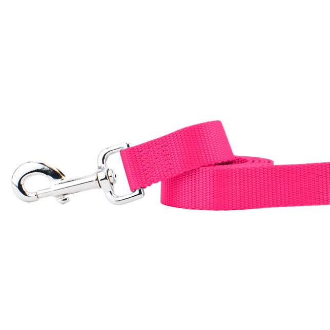 Hot Pink Nylon Dog Leash 2 Hounds Design