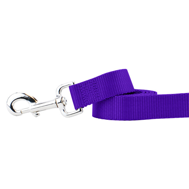 Purple Nylon Dog Leash 2 Hounds Design