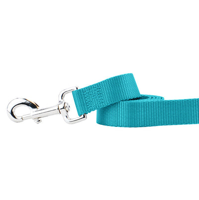 Teal Nylon Dog Leash 2 Hounds Design