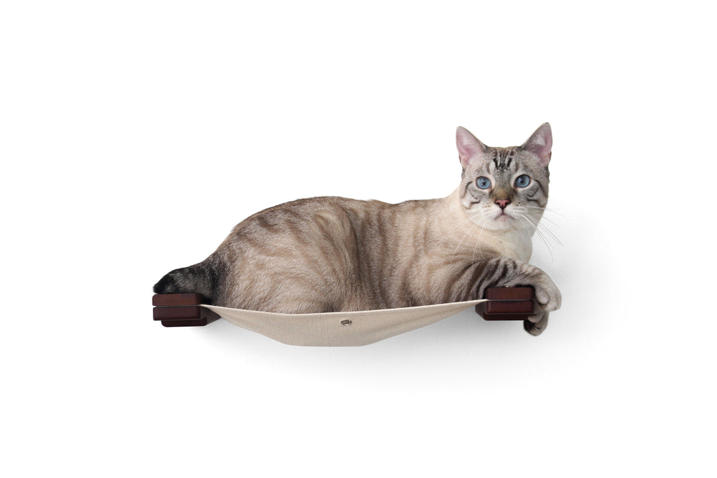 Hanging Cat Bed Hammock English Chestnut Bamboo Natural Canvas 18" Cat Hammock Catastrophic Creations