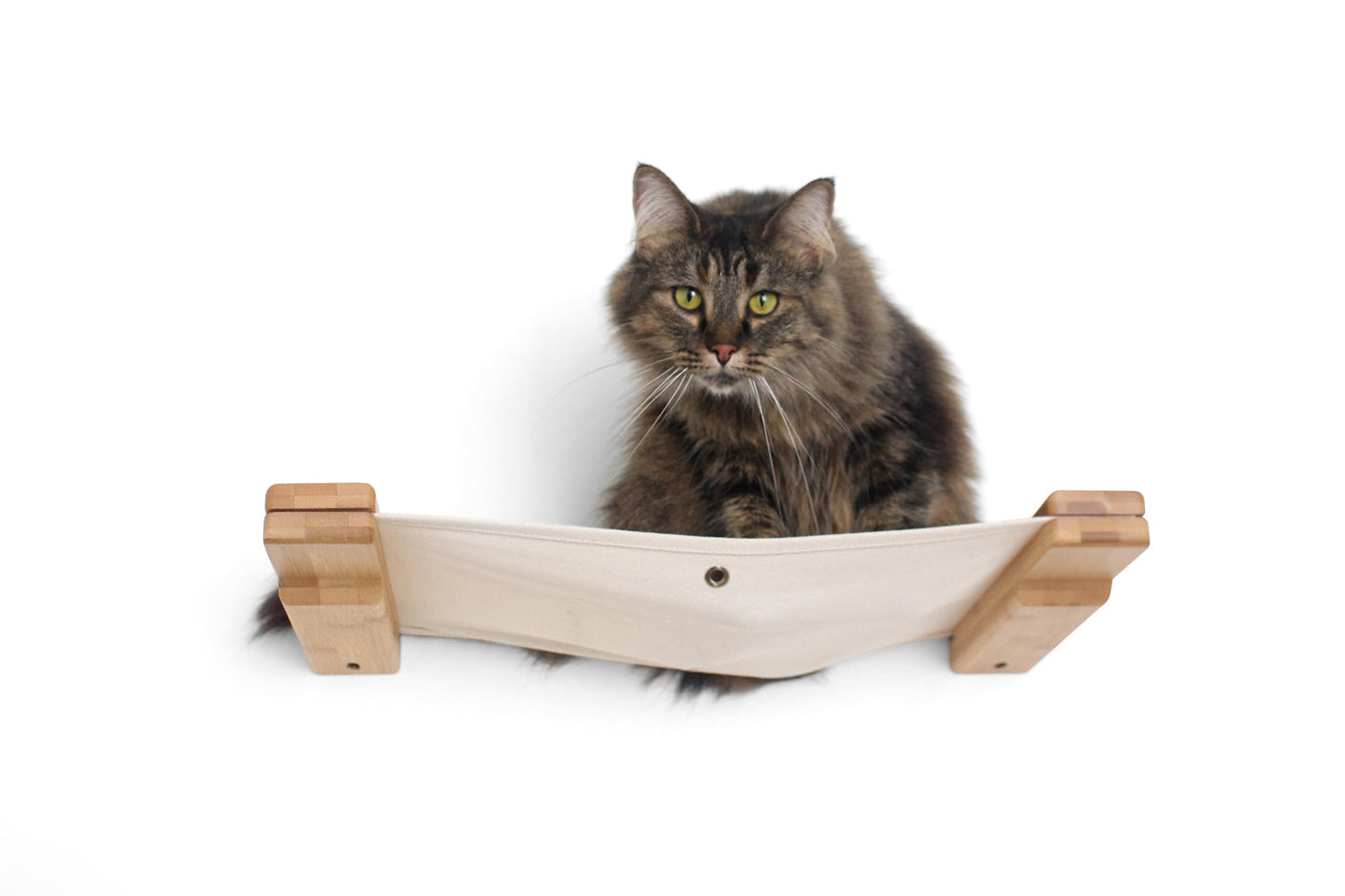 Hanging Cat Bed Hammock Natural Bamboo Natural Canvas 18" Cat Hammock Catastrophic Creations