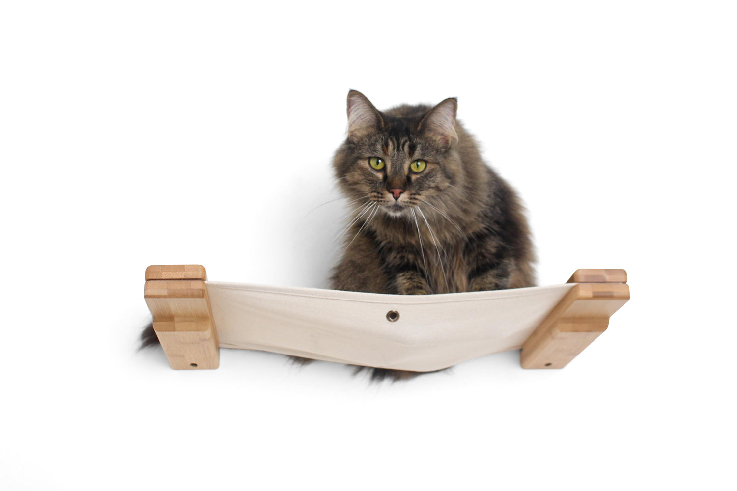 Hanging Cat Bed Hammock Natural Bamboo Natural Canvas 18" Cat Hammock Catastrophic Creations