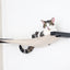 Hanging Cat Bed Hammock Onyx Bamboo Natural Canvas 34" Cat Hammock Catastrophic Creations