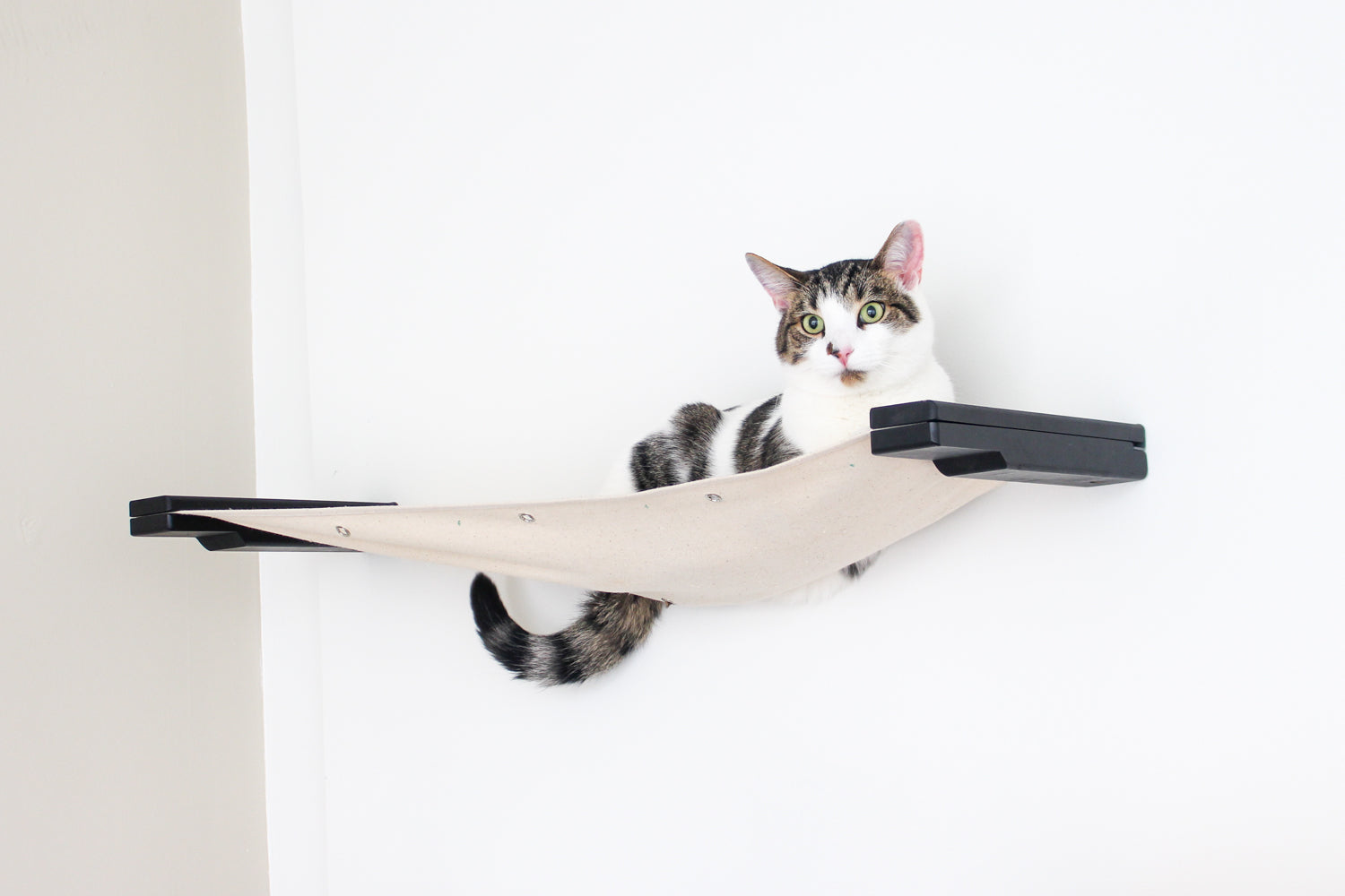 Hanging Cat Bed Hammock Onyx Bamboo Natural Canvas 34" Cat Hammock Catastrophic Creations