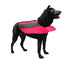 Dog Life Vest Flotation Device Dogline