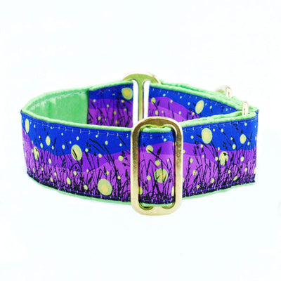 Lightning Bugs – Exclusive Martingale Dog Collar 2 Hounds Design
