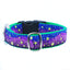 1″ Lightning Bugs Essential Martingale Dog Collar Martingale Dog Collar 2 Hounds Design