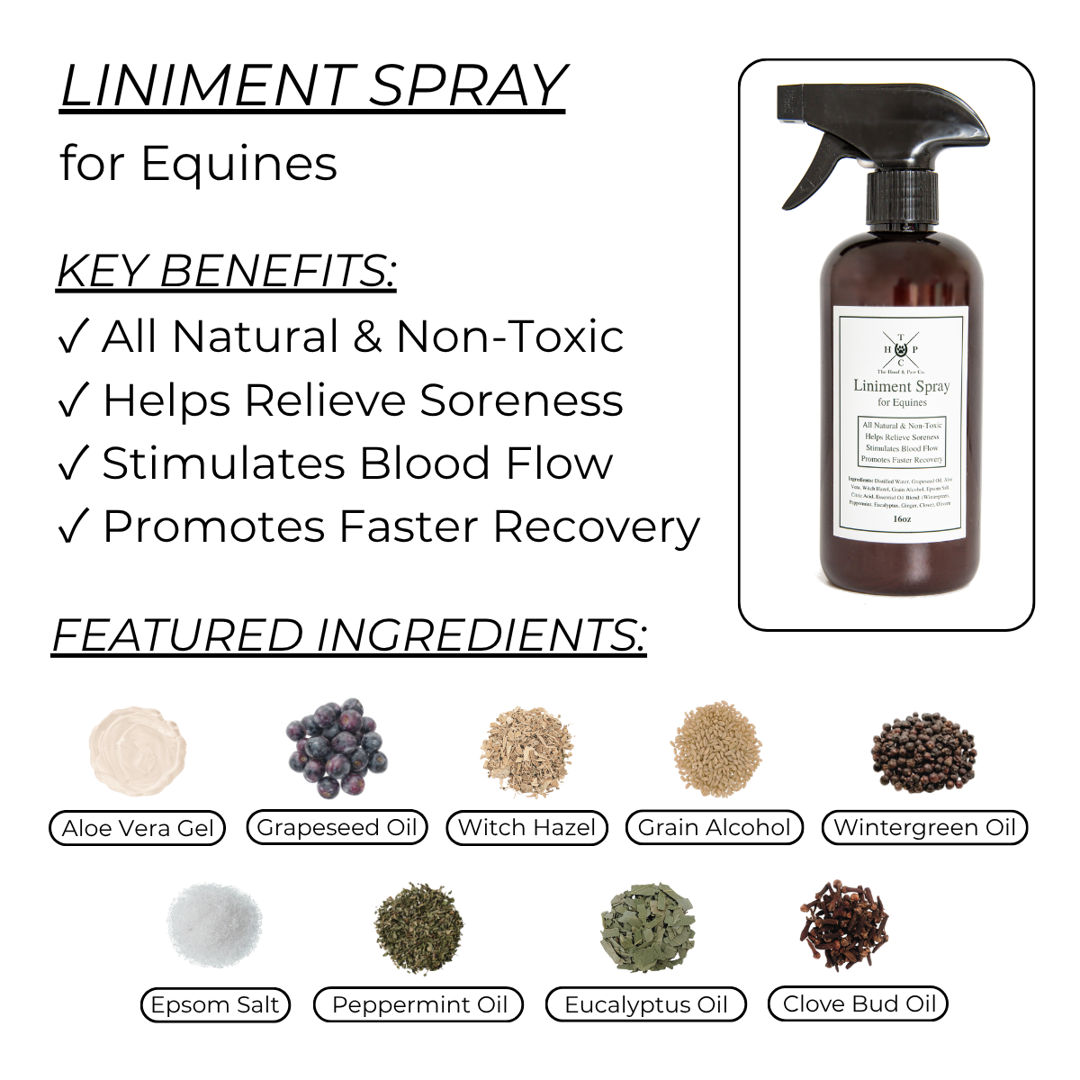 Liniment Spray for Horses - 16oz The Hoof & Paw Co.