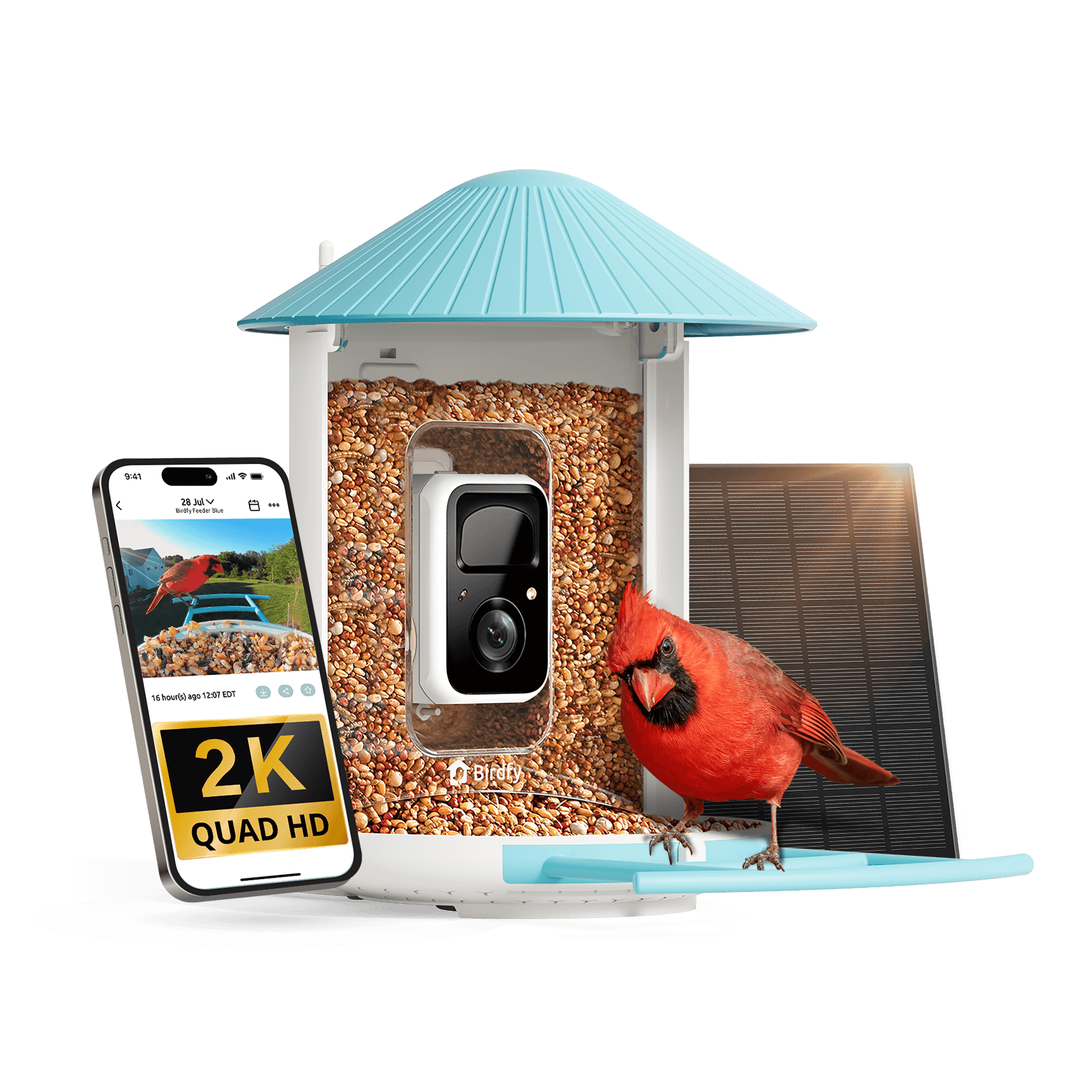 Birdfy Feeder - AI-Powered Smart Bird Feeder with Camera Solar AI by Subscription Birdfy Feeder Birdfy